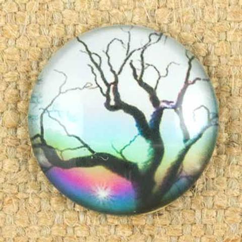 Feeling Inspired Artistic Tree Round Glass Domes 5 Pack