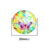 Colourful Butterfly Cabochon Random 25mm